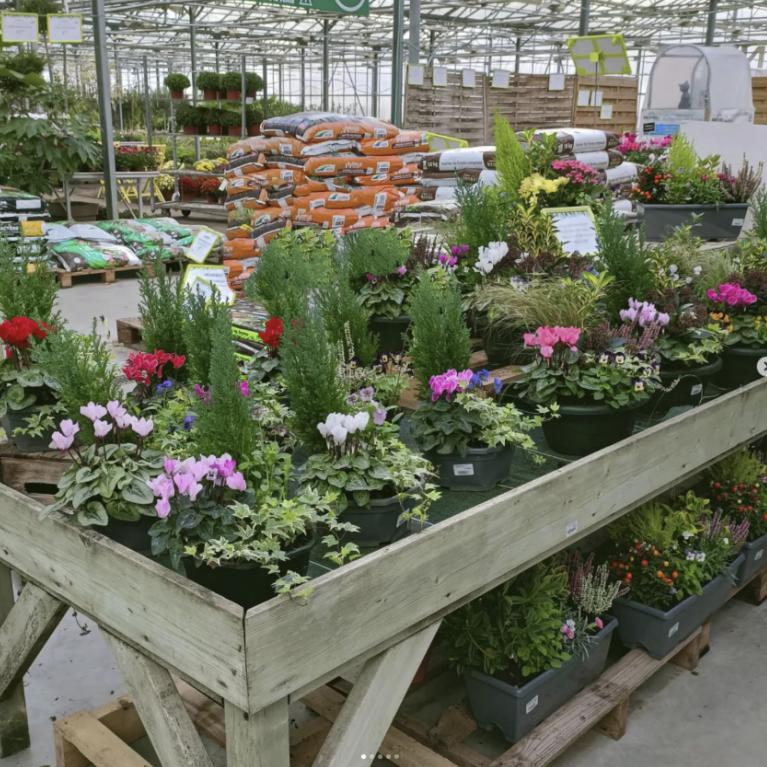 Notre offre horticole